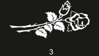 Цветы и рисунки_3